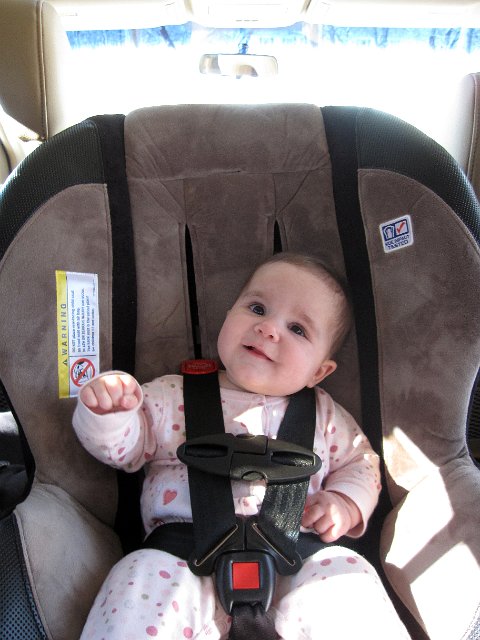 IMG_6975b.jpg - Catherine is testing out her new convertible car seat.