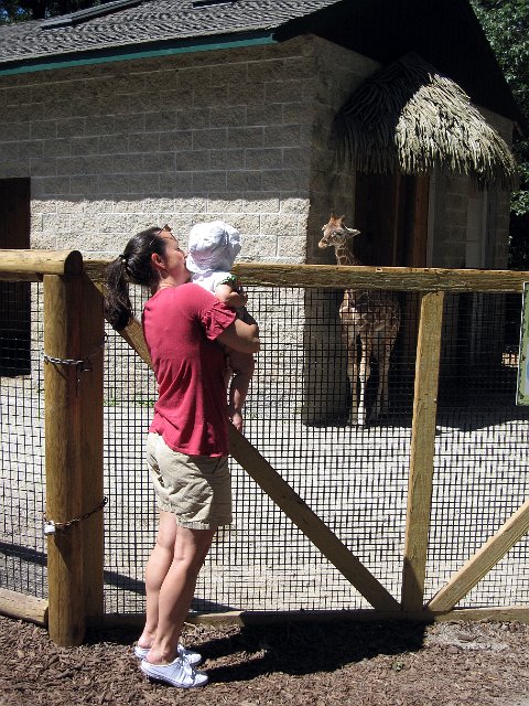 IMG_9150b.jpg - Catherine saying Hello to the baby giraffe, Molly.