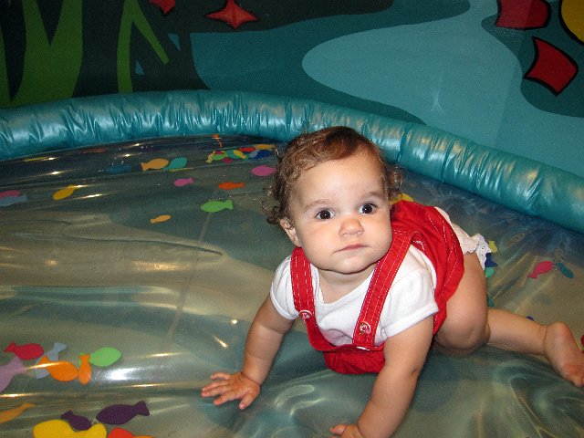 IMG_9355b.jpg - ... and crawling around in the fish pond ...
