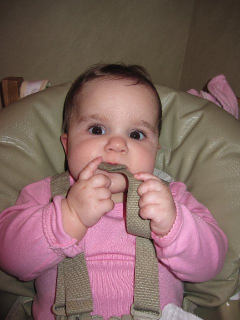 IMG_7429.JPG - Catherine doesn't always enjoy her meals, but thinks these straps are pretty tasty!