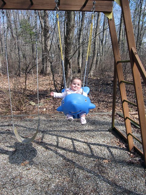 IMG_7590b.jpg - Catherine in her new dolphin swing on a bright Spring day.