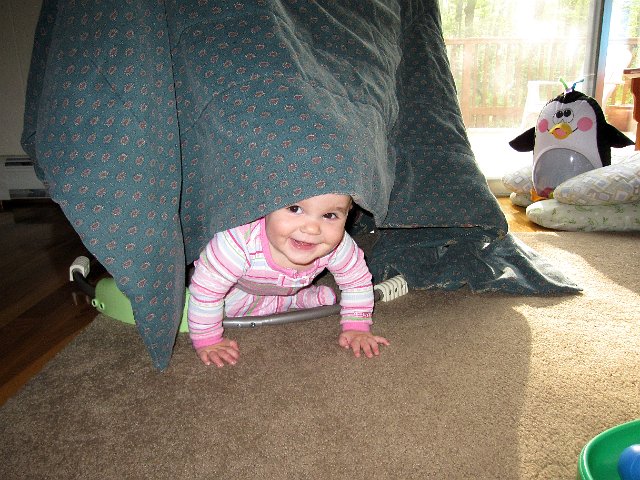 IMG_8061b.jpg - We turned her jumperoo into a fort and it's a whole new toy!!