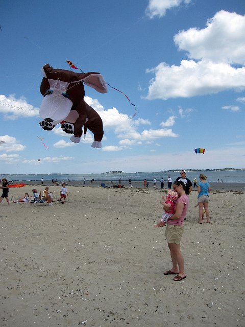 IMG_8281b.jpg - Catherine admiring the dog kite.