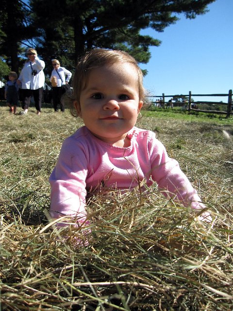 IMG_0188b.jpg - This one is for Grandpop ...