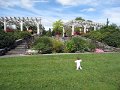 IMG_9882b