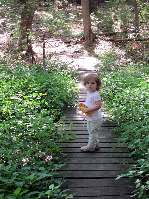 IMG_2059b.jpg - We had a little hiker in training ... "stay on the path", "watch out for the rocks and tree roots", "don't touch that", "follow Daddy", etc.