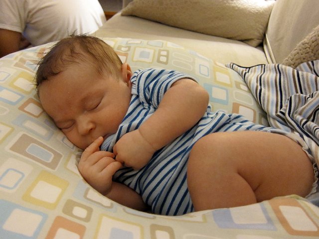 IMG_1933b.jpg -                                