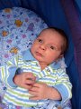 IMG_0953b