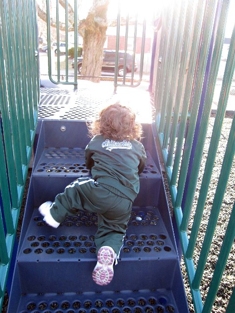 IMG_0537b.jpg -                                