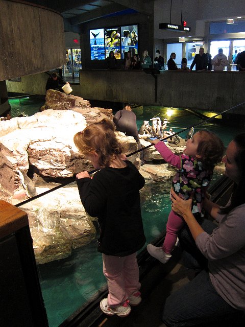 IMG_1108b.jpg -                                