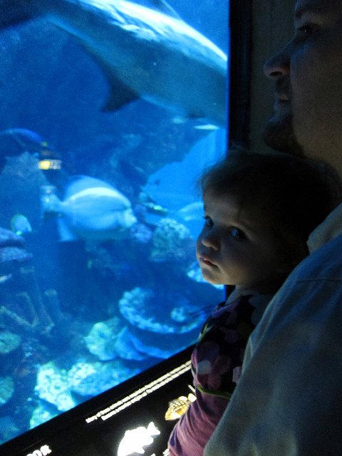 IMG_1113b.jpg -                                
