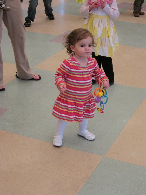 IMG_1186.JPG -                                