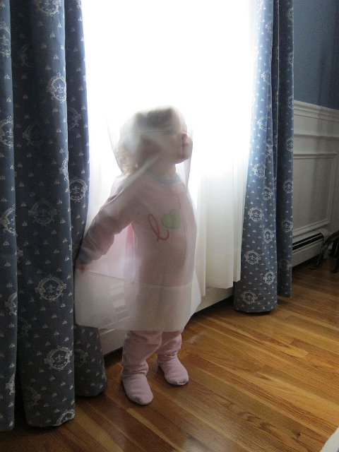 IMG_1204.JPG -                                
