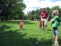 IMG_0786b
