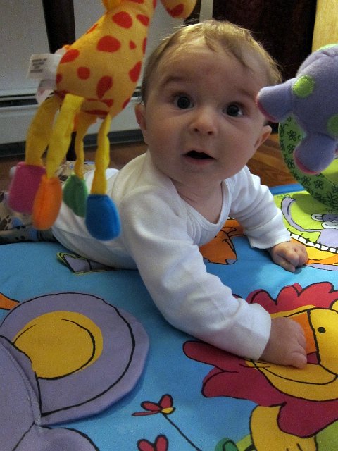 IMG_2536b.jpg - He enjoys hanging out with his jungle friends on the activity mat too.