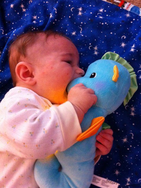IMG_0232.JPG - Nathan's bedtime pal, the 'Soothe and Glow Seahorse'.