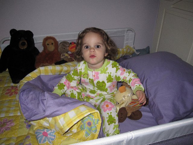 IMG_1653.JPG - First night in her new room.  Her friends are lined up to make it a comfortable one.