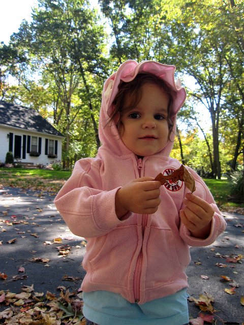 IMG_1710b.jpg - She's crazy about leaves and that's okay, we have plenty of them to play with!