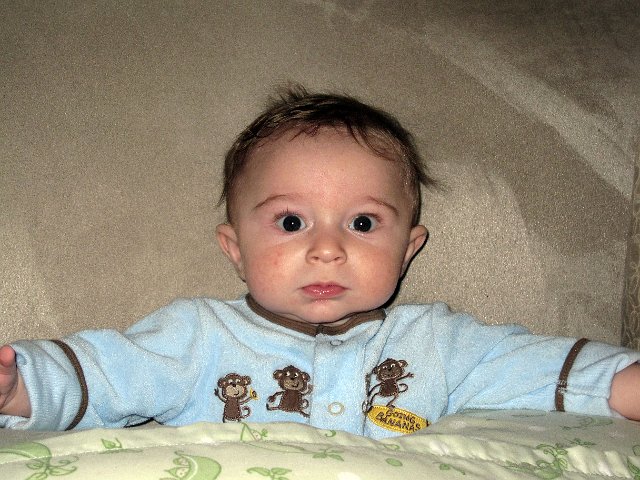 IMG_1724b.jpg - Nathan is just sitting around looking cute!