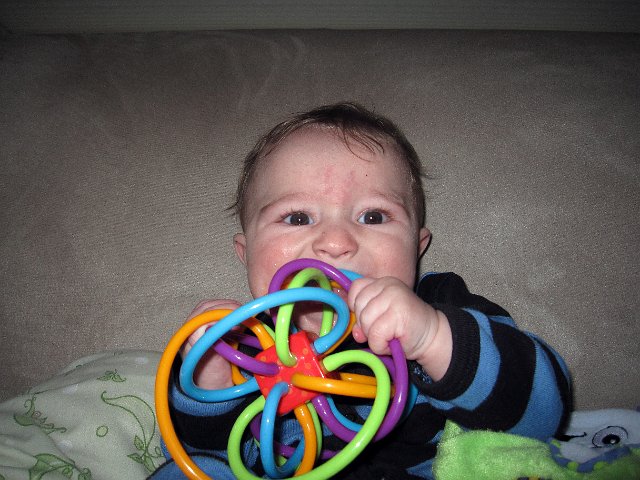 IMG_1869b.jpg - Nathan really, really likes this toy .. he attacks it!