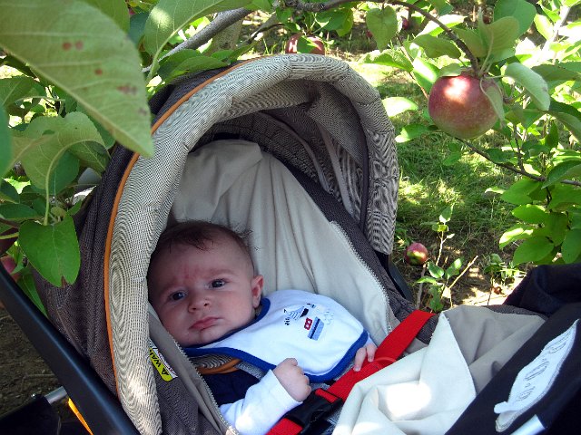 IMG_1504b.jpg - Nate is wondering what's going on but at least he's out enjoying a nice day too.