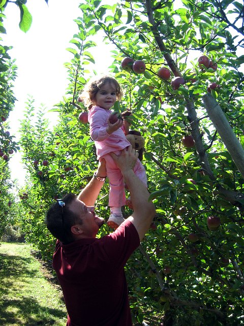 IMG_1507b.jpg - Who needs a ladder when you have a light-weighted child you can stretch into the air?