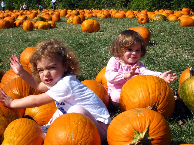 IMG_1531b.jpg - .. a little pumpkin music making was bound to happen!