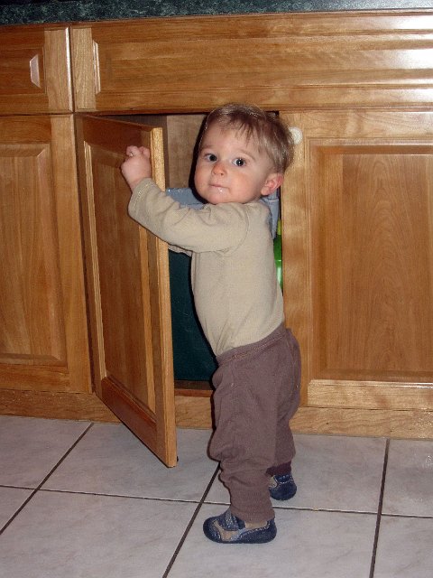 IMG_3369b.jpg - We think door and drawer locks were created specifically with this little guy in mind.