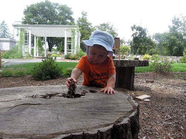 IMG_5631b.jpg - Nathan is always exploring.