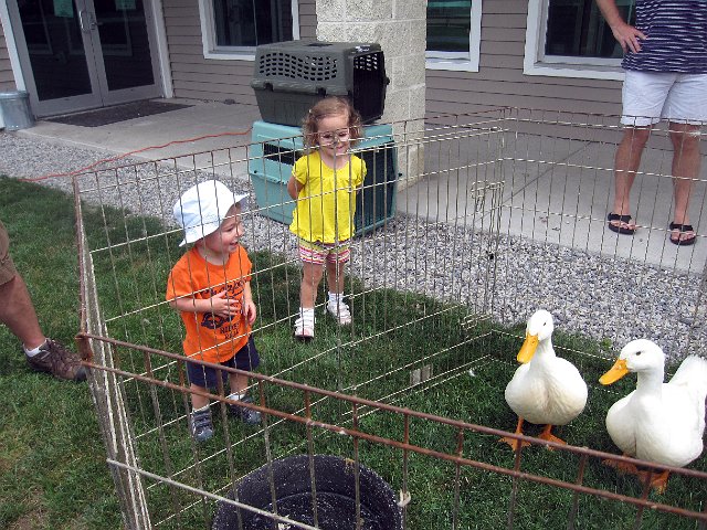 IMG_5641b.jpg - We attended the Summer Fest at Nevin's Farm this weekend for some fun.
