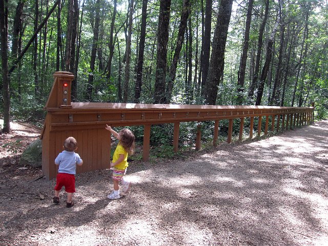IMG_5804b.jpg - The Light Track got their attention though.  When you press a button the light flashes down the trail and chimes as it goes.