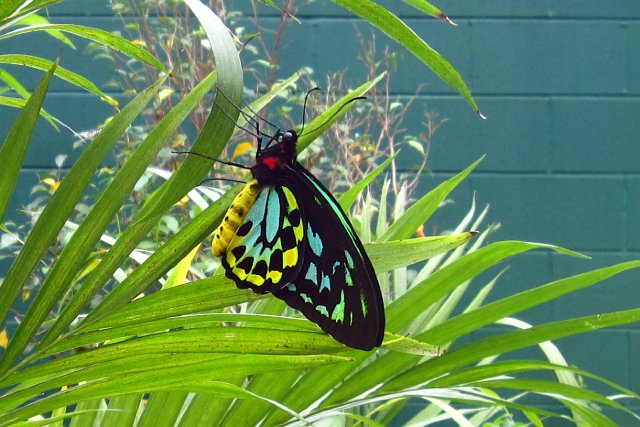 IMG_2961b.jpg - I think this one was my favorite.
