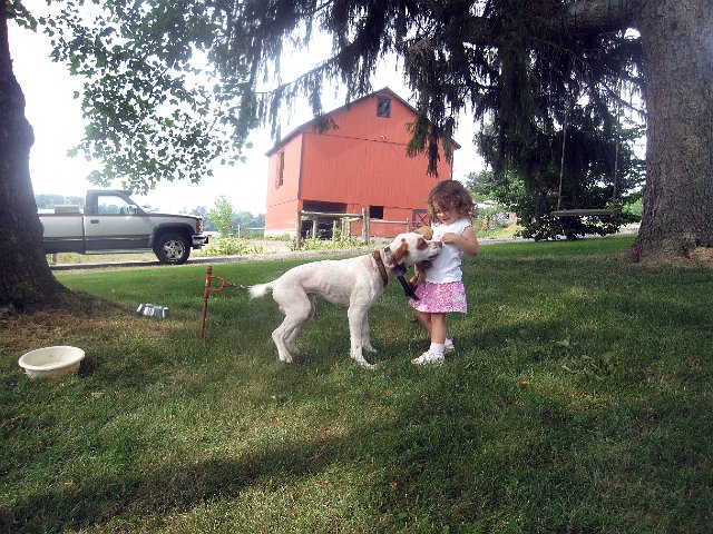 IMG_4714b.jpg - Tom's dog family are not to be left out .. Catherine and Levi sharing some kisses.