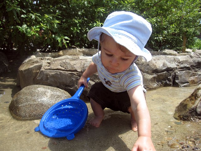 IMG_5119b.jpg - Nathan is searching for gold, good boy!