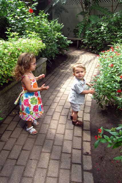 IMG_5501b.jpg - .. and off they go exploring among the butterflies!