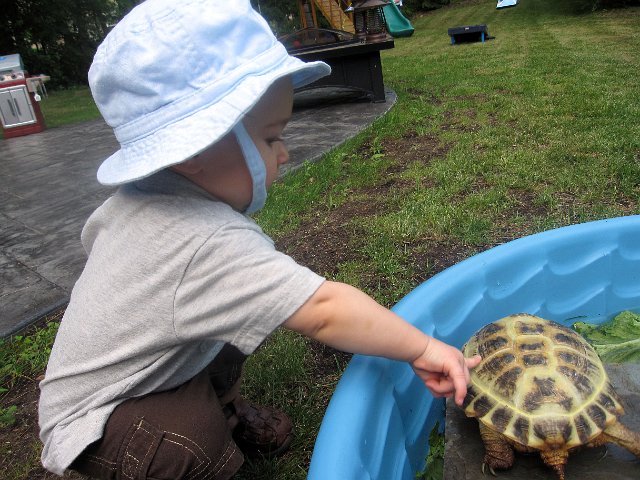 IMG_4322b.jpg - Nathan saying hello to the "guest of honor" at Rylan Flynn's 3rd Birthday party.