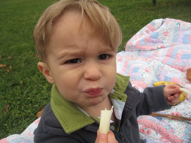 IMG_7032.jpg - And, yes, our picnic also included string cheese ...