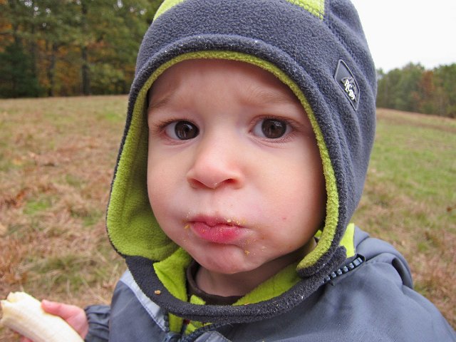 IMG_4050.JPG -                                