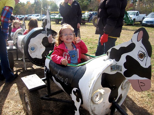 IMG_6571.JPG - Also at the farm was a cow train …