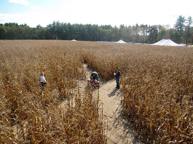 IMG_6679.JPG - And now to attempt the full size corn maze; luckily we are prepared with printed and digital maps while on our journey.