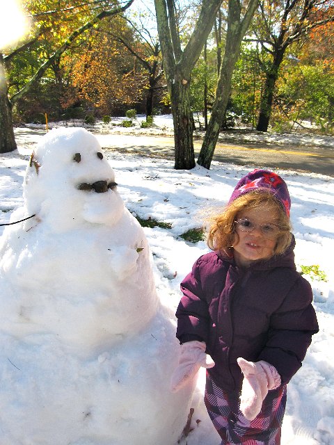 IMG_6858.jpg - And a very quickly-made snowman did make his appearance in the lawn too.