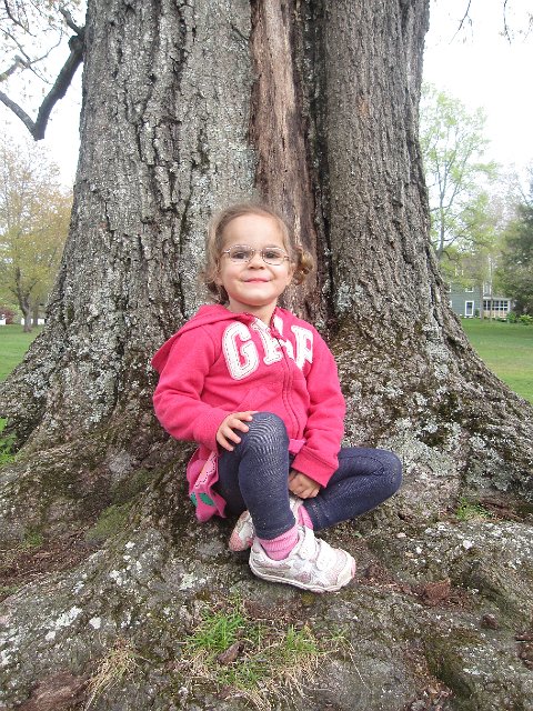 IMG_9397.jpg - Catherine wanted help so badly to climb this tree!