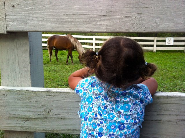 IMG_0800.jpg - We headed to Endicott Park in Danvers to visit the farm animals and playground.