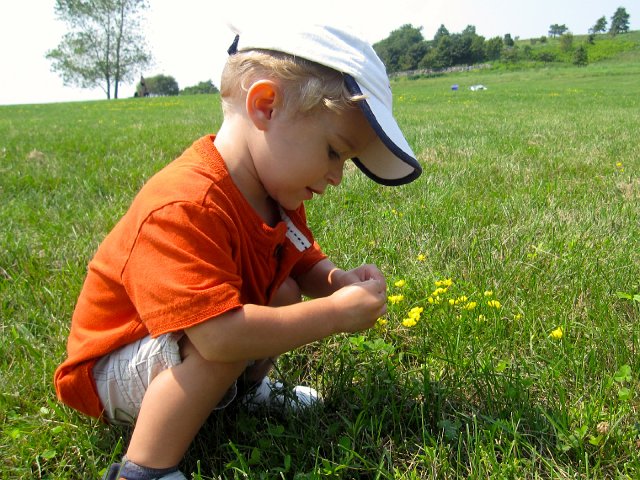 IMG_1415.jpg -                                
