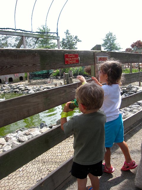 IMG_1649.jpg - Ahhh, binoculars to check out all the water fowl.  Always new and fun things to help us discover the world around us!  (We now have a pretend pair to play with at home.)