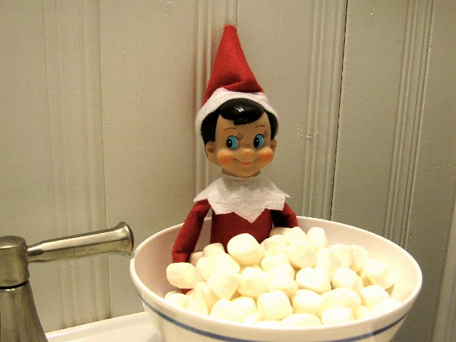 IMG_3165.jpg - Alfie is watching over the kids from the luxury of his bubble bath today.
