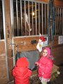 IMG_3126
