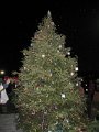 IMG_3139