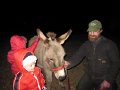 IMG_3304
