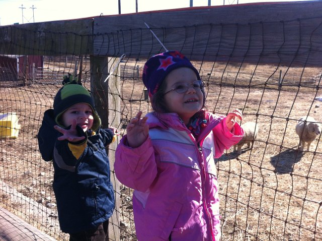 IMG_1866.jpg - Following Little Bookworms Storytime at Nevin's Farm we went out to say Hello to all the animals (sheep, pigs, goats, horses, chickens, roosters, ducks & noisy geese).